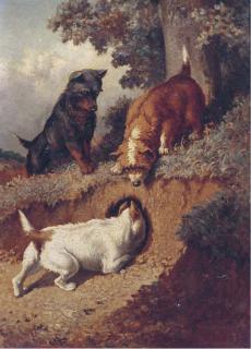 Vincent de Vos - Chasing rabbits