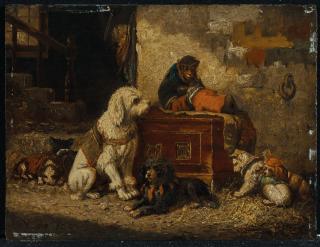 Vincent De Vos - Chiens et singe de cirque