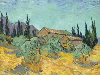 Vincent Van Gogh - Cabanes de bois parmi les oliviers et cyprès