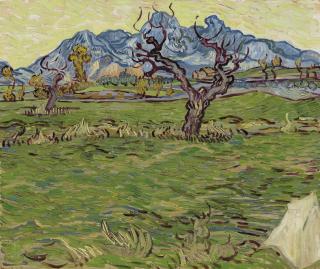 Vincent Van Gogh - Champs près des Alpilles