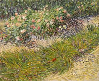 Vincent van Gogh - Coin de jardin avec papillons