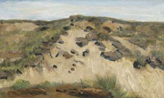Vincent Van Gogh - Het Duin (The dune)