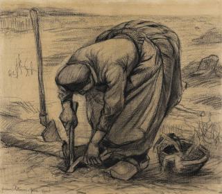 Vincent Van Gogh - Planteuse de betteraves
