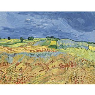 Vincent Van Gogh - The Fields (Wheat Fields)