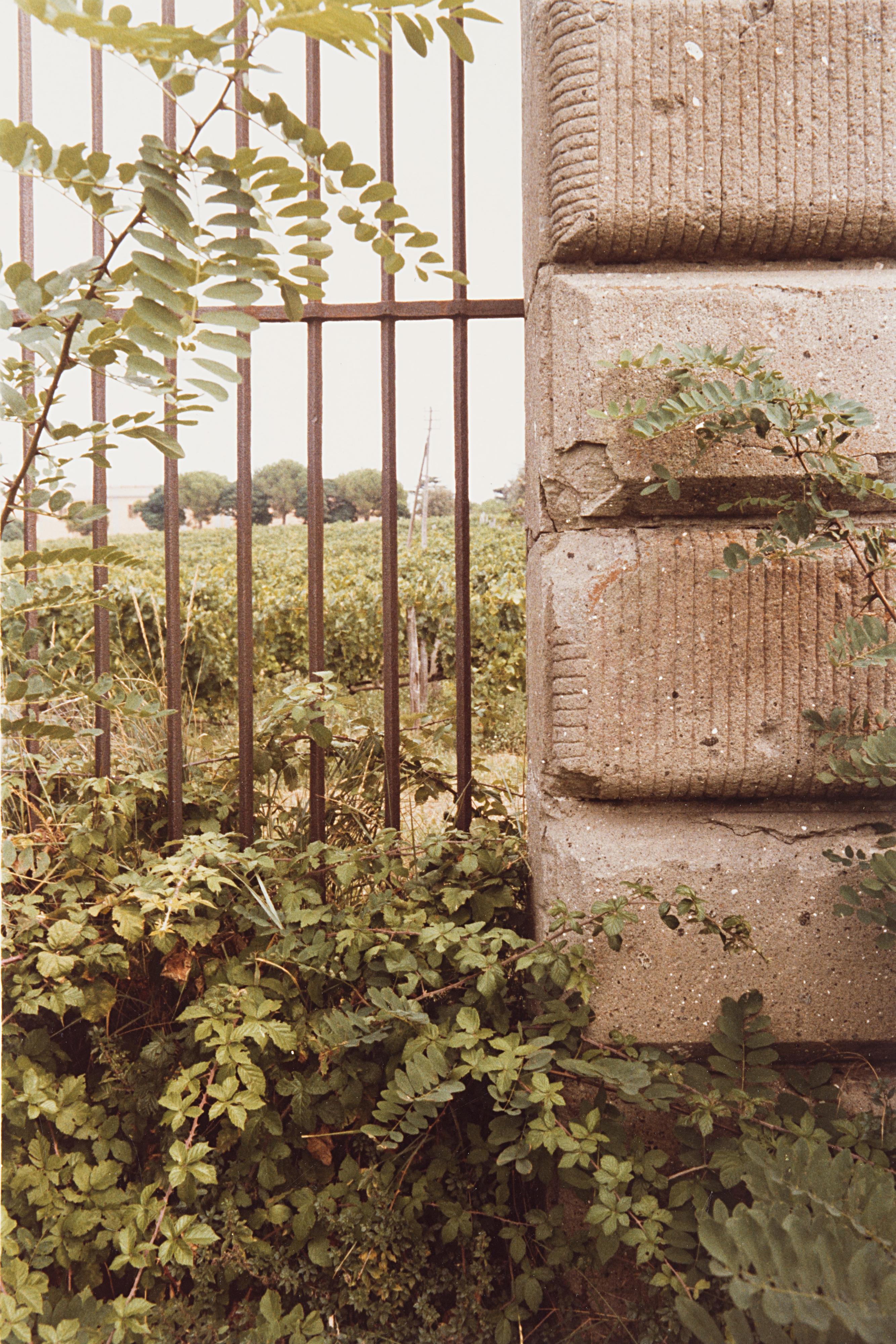 Vincenzo Castella - Paesaggio 1981