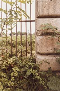 Vincenzo Castella - Paesaggio 1981