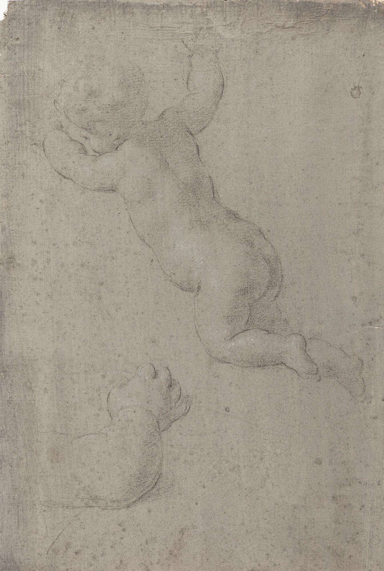 Vincenzo Dandini - 2 Bll.: Engelstudien für das Altarbild der „Immaculata Conceptio“