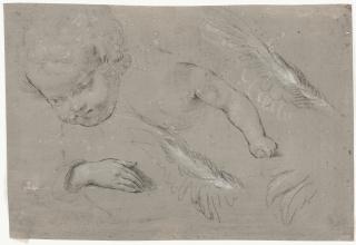 Vincenzo Dandini - 3 Bll.: Studienblätter mit Kopf-, Hand-, Bein- und Flügelstudien