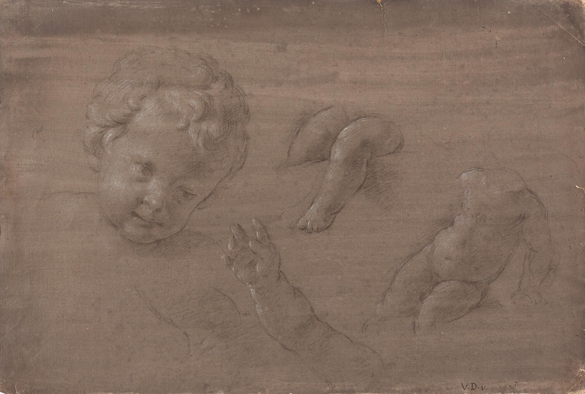 Vincenzo Dandini - Studienblatt mit Kopf- Arm- und Beinstudien zu einem Putto