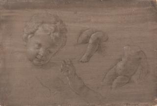 Vincenzo Dandini - Studienblatt mit Kopf- Arm- und Beinstudien zu einem Putto