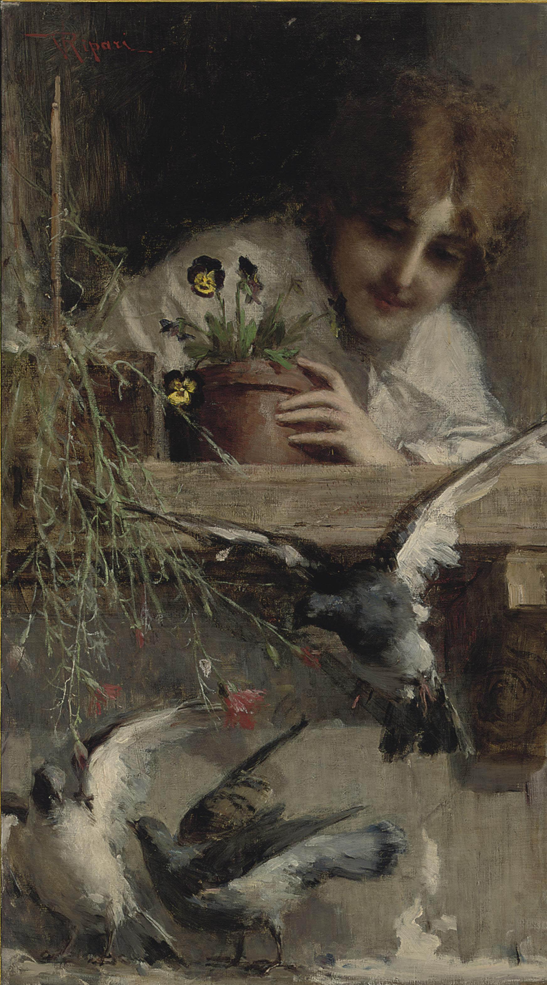 Virgilio Ripari - Piccioni alla finestra