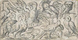 Virgilius Solis - Vögel