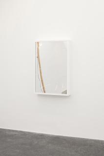 Virginia Overton - Untitled (Mirror)