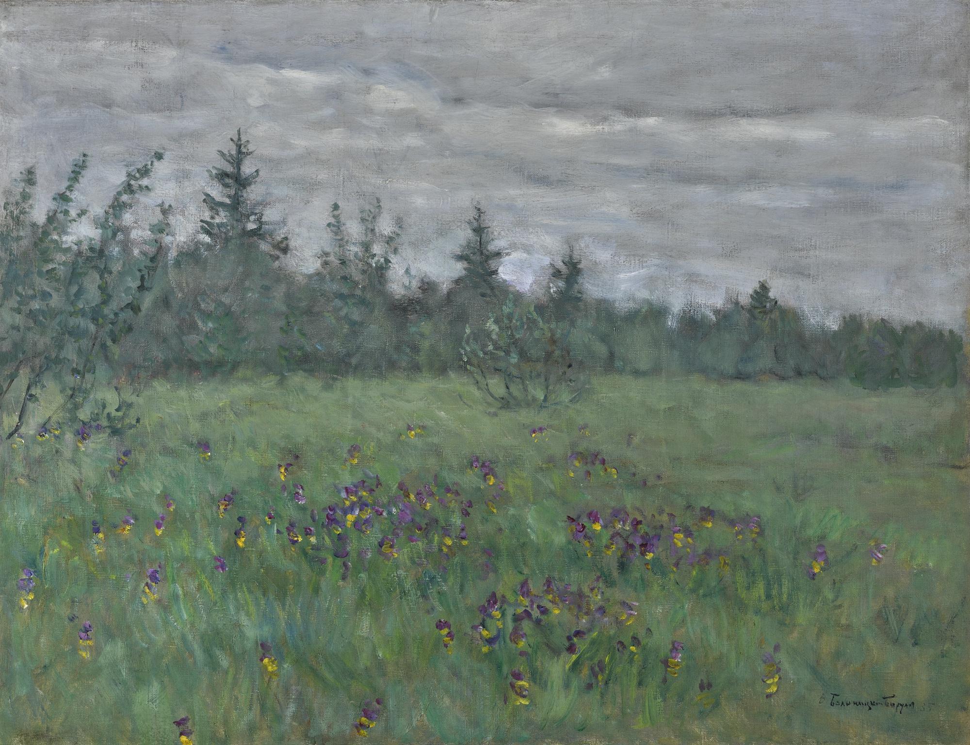 Vitold Kaetanovich Byalynitsky-Birulya - Wild Irises