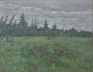 Vitold Kaetanovich Byalynitsky-Birulya - Wild Irises