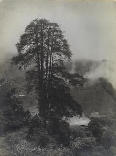 Vittorio Sella - At Lachen Monastery, Sikkim, Himalayas, c. 1899