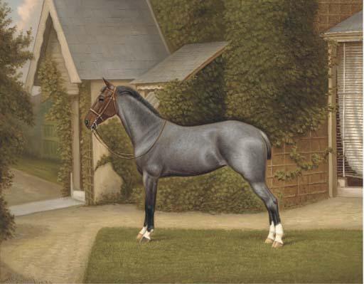 W. A. Clark - A Horse In A Garden