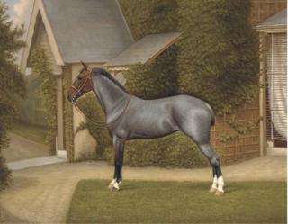 W. A. Clark - A Horse In A Garden
