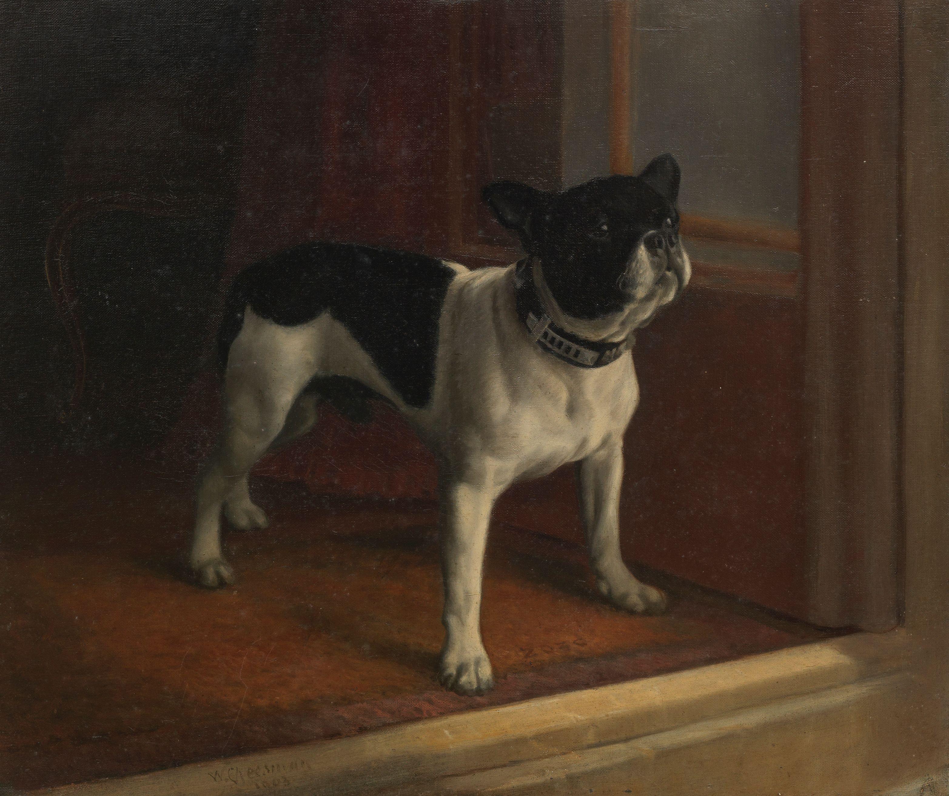 W. Cheesman - A French bulldog, Millicent (The Duchess of Sutherland\'s first pet dog in the 1890s)
