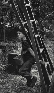 W. Eugene Smith - Untitled (Boy by Ladder), c. 1953
