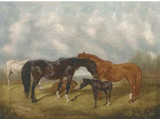 W. H. M. Turner - Mares and foals