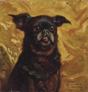 W. Smithson Broadhead - A black pug