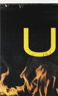 Wade Guyton - Untitled