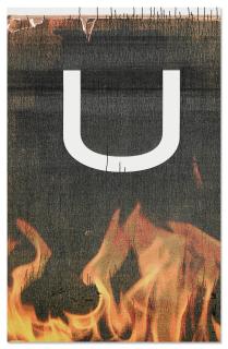 Wade Guyton - Untitled