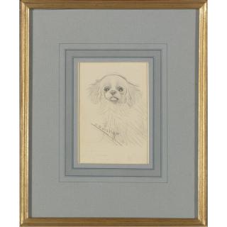 Wain, Louis - Sketch of a dog