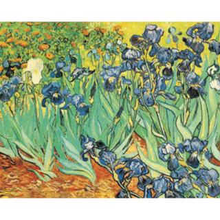 Walasse Ting - Irises: Homage To Vincent Van Gogh