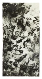 Walead Beshty - Picture Made By My Hand With The Assistance Of Light, 2011