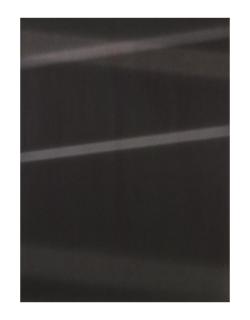 Walead Beshty - Transparency (Negative) [Kodak Portra 160NC Em. No. 3161: November 28-30, 2010 LAX/MIA MIA/LAX]