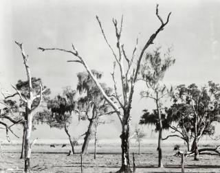 Walker Evans - Eight Photographs including: Landscape, Gulf Coast, Louisiana 8