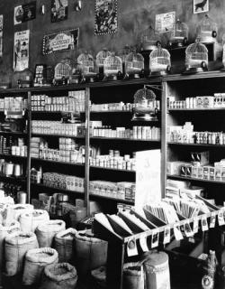 Walker Evans - Seed Store Interior, Vicksburg, Mississippi