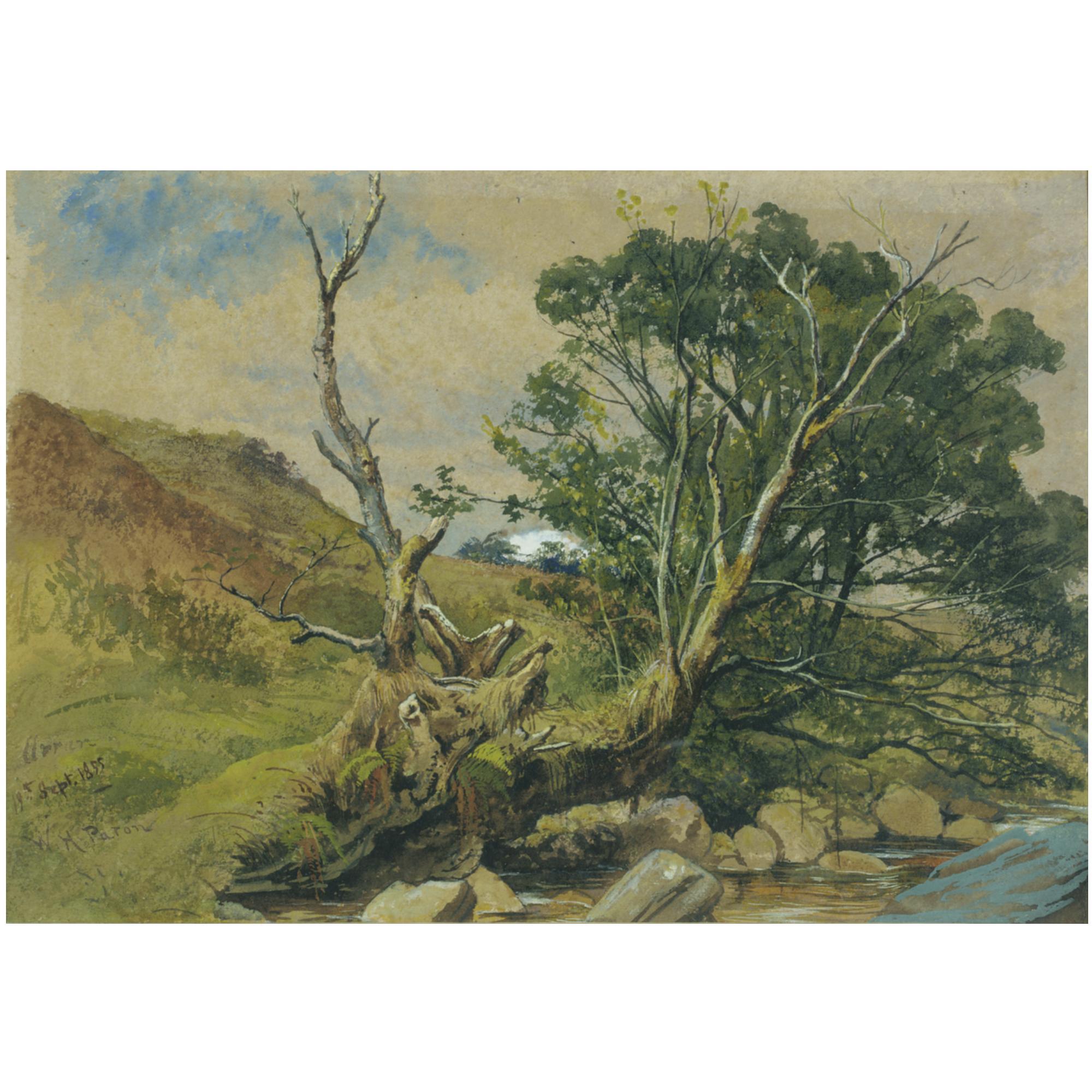 Waller Hugh Paton, R.S.A., R.S.W. - A Wooded Stream, Arran