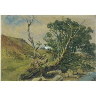 Waller Hugh Paton, R.S.A., R.S.W. - A Wooded Stream, Arran