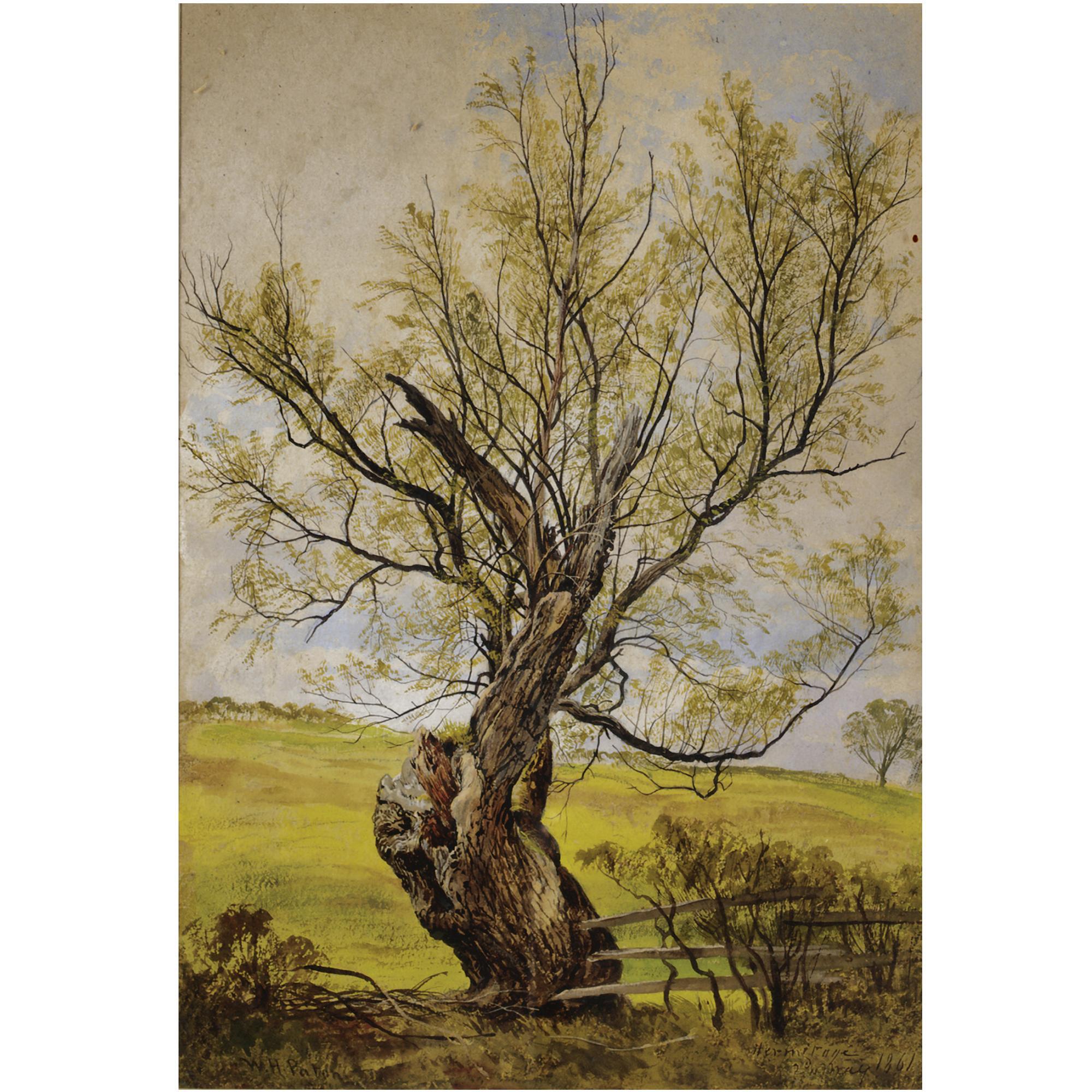 Waller Hugh Paton, R.S.A., R.S.W. - An Ancient Willow In The Grounds Of Hermitage Castle, Roxburghshire 