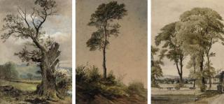 Waller Hugh Paton, R.S.A., R.S.W. - Three Studies Of Trees In Various Landscapes (All Illustrated)