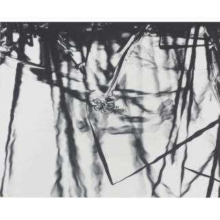 Walter Chappell - Photograph 2-55