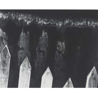 Walter Chappell - Picket Fence (Photograph 10/1958)