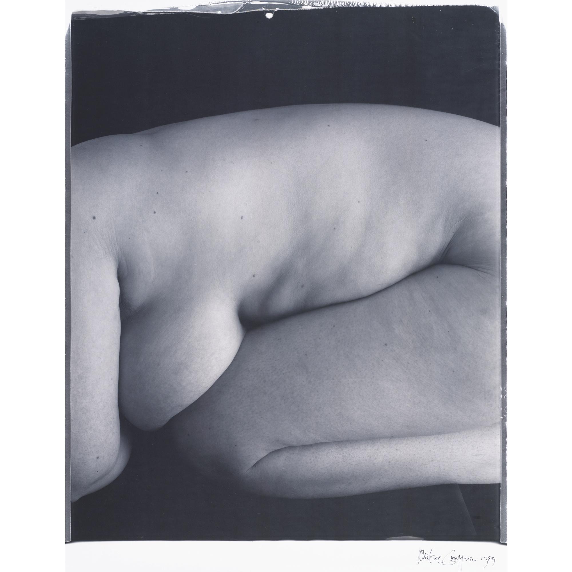 Walter Chappell - Selected Nudes From Human Metaphor Series