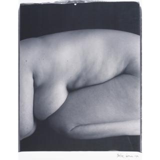 Walter Chappell - Selected Nudes From Human Metaphor Series