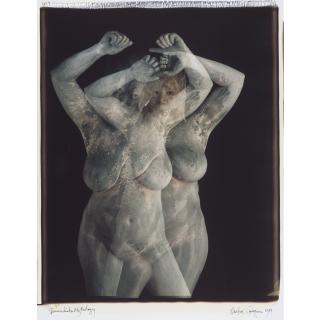 Walter Chappell - Selected Nudes From Immediate Mythology