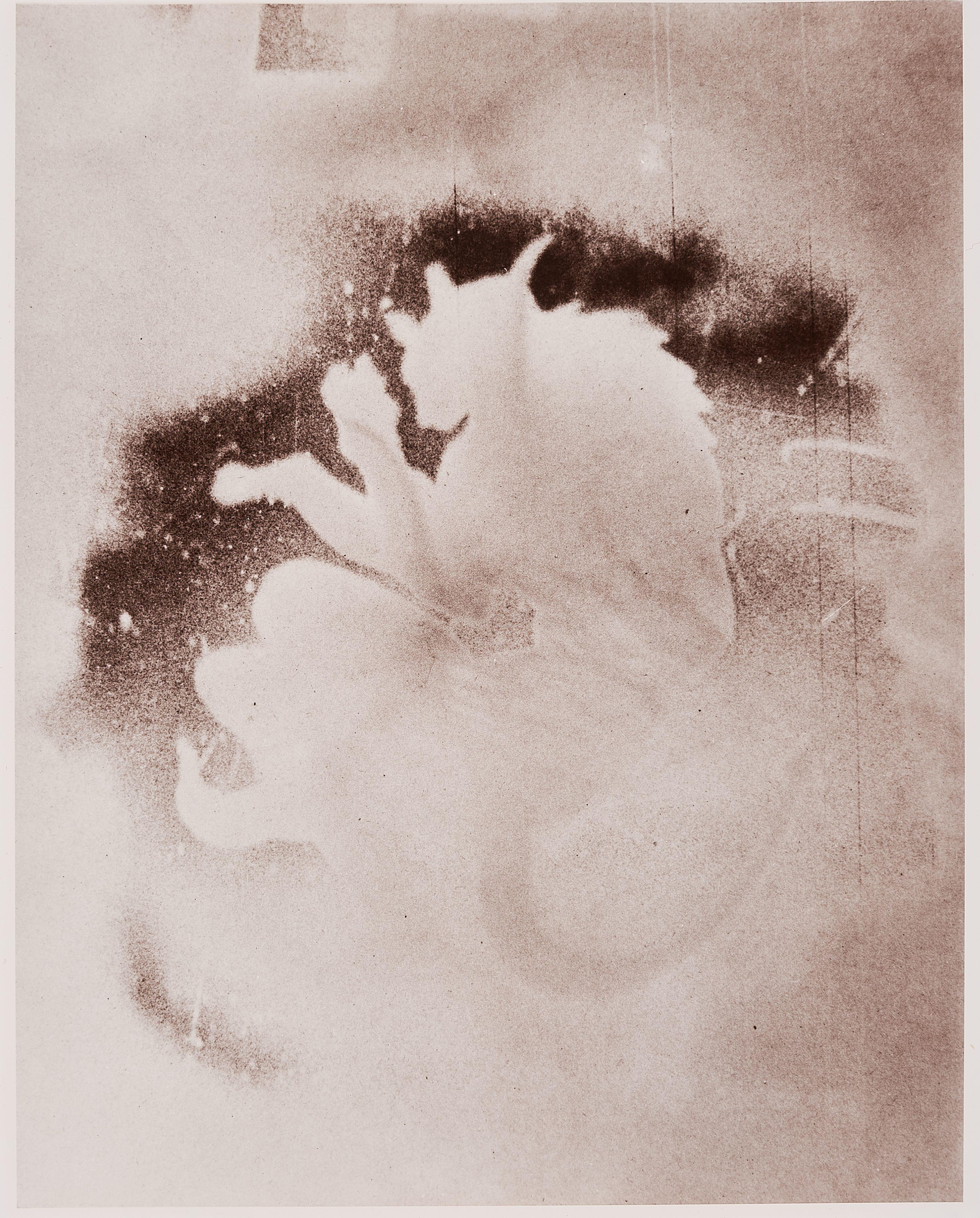 Walter Dahn - Ohne Titel.