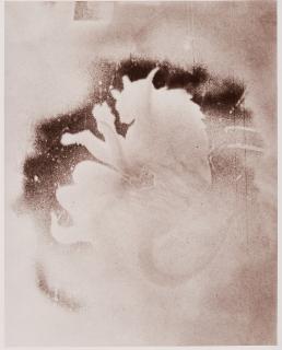 Walter Dahn - Ohne Titel.