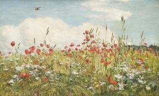 Walter Field, A.R.W.S. - A poppy field