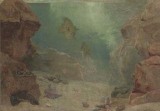 Walter Fryer Stocks - The Bottom of The Sea