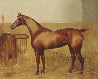 Walter Harrowing - A bay hunter in a stable