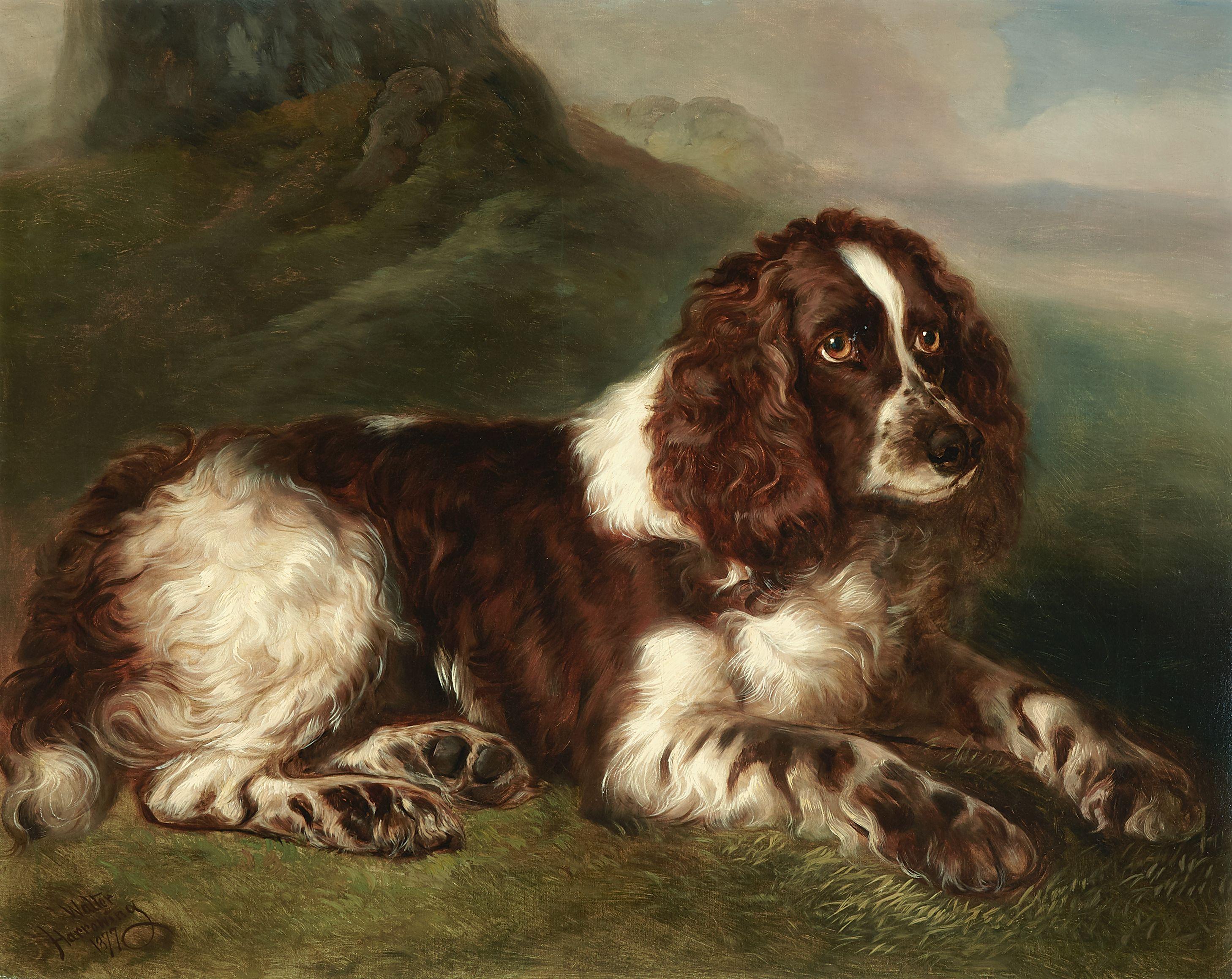 Walter Harrowing - A springer spaniel resting in a landscape