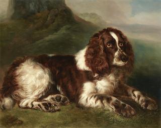 Walter Harrowing - A springer spaniel resting in a landscape